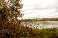 Carroll County Lake